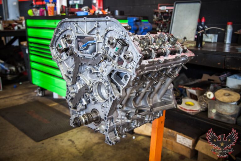 61404682_2239222546165527_1984643862802464768_n