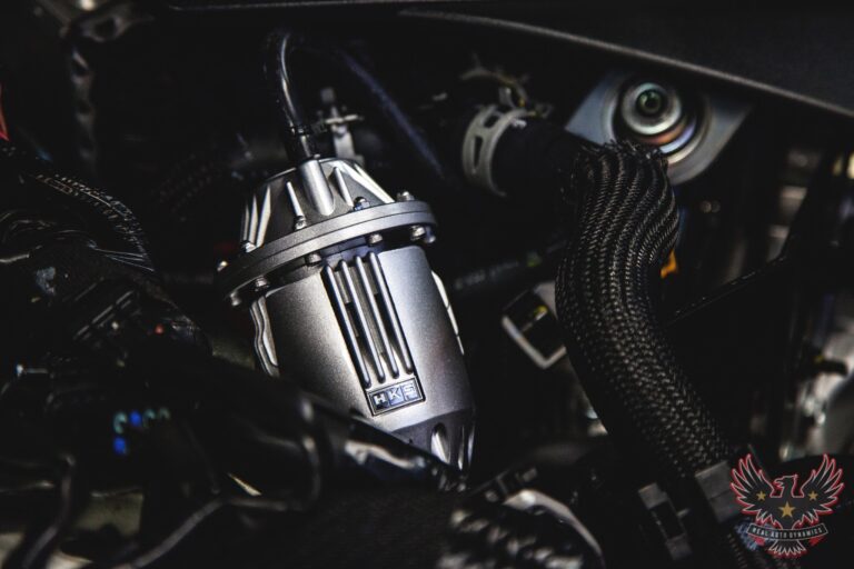 81256605_2669000139854430_6358074151101530112_n